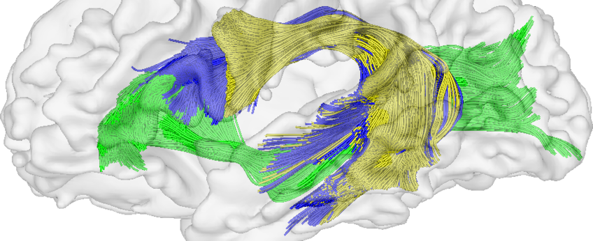 Abteilung Neuropsychologie Abteilung Neuropsychologie