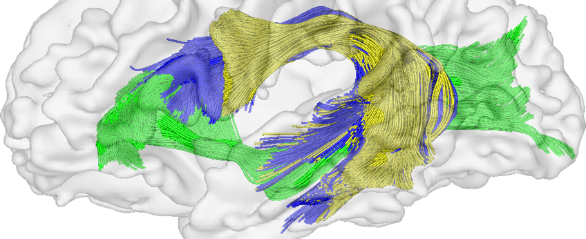 Abteilung Neuropsychologie