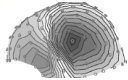 The localization of dipolar sources in the brain based on electroencephalography (EEG) or magnetoencephalography (MEG) data is a frequent problem in the neurosciences.