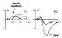Sentence interpretation was examined with event-related brain potentials (ERPs). The ERPs were recorded while participants listened to French sentences containing a subject-modifying relative clause (SRC).