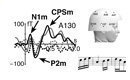 A neural correlate for phrase boundary perception in music has recently been identified in musicians. It is called music closure positive shift ("music CPS") and has an equivalent in the perception of speech ("language CPS").
