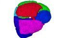 Time plays an important role in medical and neuropsychological diagnosis and research. In the field of Electro- and MagnetoEncephaloGraphy (EEG/MEG) source localization, a current distribution in the human brain is reconstructed ...