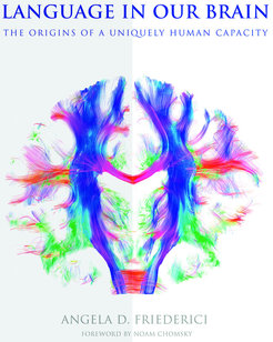 In her book Friederici explains how the biological structures in the brain interact—and thereby sounds become words, word groups, sentences and finally content within milliseconds. © MIT Press
