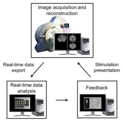 Typical rt-fMRI neurofeedback setup. Modularising image acquisition, reconstruction, processing and feedback presentation.