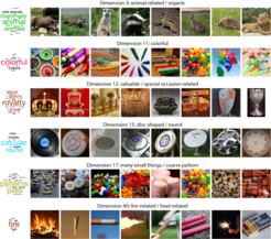 Excerpt from the image database: "We found that with around 2000 names, i.e. categories, the world can be described quite well", Martin Hebart says. Hebart and his team collected about 12 to 15 images from each category and had, in total, around 26,000 files that the put together in a large database of images of all objects.