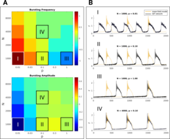 Figure 2: Finite size analysis of bursting behavior. A: differences between the mean-field model and spiking neural networks with different size (N) and coupling probability (p) in terms of inter-burst frequency and peak intra-burst amplitude. B: Time series of mean-field model and spiking neural network bursting behavior for particular network sizes (N) and coupling probabilities (p).
