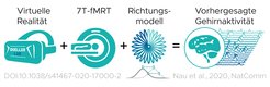 Die Forscher haben ein Computermodell entwickelt, das unserem Gehirn direkt dabei zuschauen kann, wie es sich orientiert und sich etwas merkt.