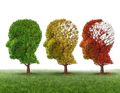 © Lightspring /shutterstock.com