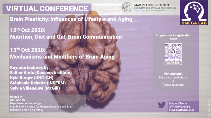 Brain Plasticity - Influences of Lifestyle and Aging Brain Plasticity - Influences of Lifestyle and Aging
