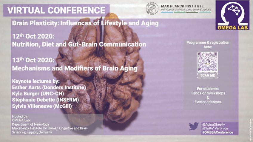 Brain Plasticity - Influences of Lifestyle and Aging