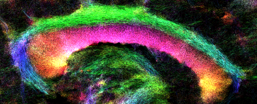 Department of Neurophysics Colorful, bright abstract lines and shapes in a neural pattern.