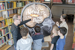 MRI, virtual realities, sound - these are only three of the topics to which doctors, psychologists, physicists or programmers at the MPI CBS invited interested pupils.