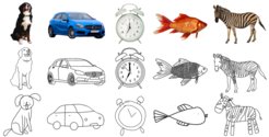 Während die Studienteilnehmer diese Bilder ansahen, wurde ihre Hirnaktivität mit funktioneller Magnetresonanztomographie aufgezeichnet.