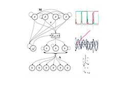 Perceptual Decision Making