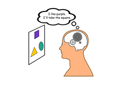 Value Based Decision Making