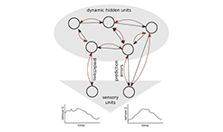Recognizing Recurrent Neural Networks