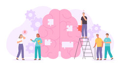 The researchers studied hemispheric asymmetry because it is a key feature of brain organization and supports flexible interplay between local neural modules that are important for human cognition.