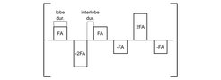 Abbildung 1: Schema der MT-Präperation. Lobe-Dauer = 1000 μs, Inter-Lobe-Dauer = 100 μs, Flip-Winkel FA = 45°.