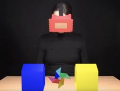 Die Teilnehmer*innen sahen Videos, in denen eine Schauspielerin eine Augenbinde trug.