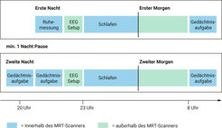 Darstellung des Studienablaufs