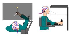 Participants in the study made arm movements while sitting in an exoskeleton robot.
