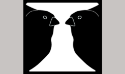 Summary of the birdsong generation model: The sequential activation of HVC neurons drives a subpopulation of RA neurons in the lower level. RA neurons innervate the syringeal and respiratory areas which produce the final output.