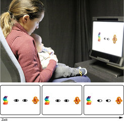The movement of the black dots seems to direct babies’ attention to surrounding objects in the same manner as another person’s gaze direction. © MPI CBS