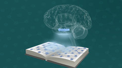 Christian Doeller and his team combine individual threads of evidence to form a theory of human thinking.